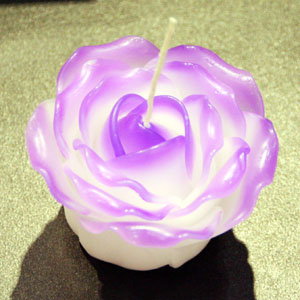 300_GRC_L012.JPG