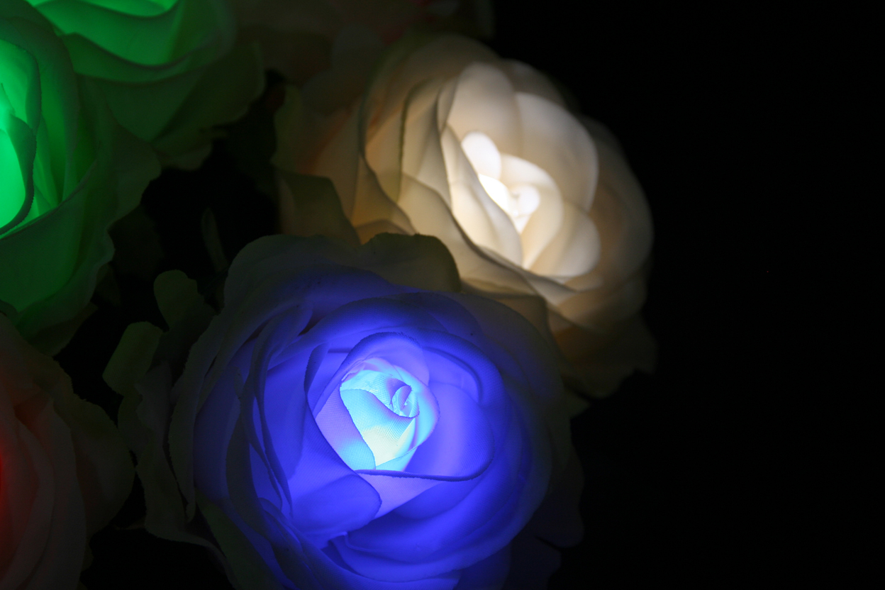 GRACE ROSE / グレイスローズ